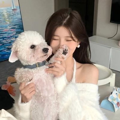 酷条子